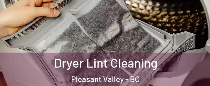  Dryer Lint Cleaning Pleasant Valley - BC