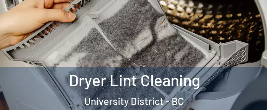  Dryer Lint Cleaning University District - BC