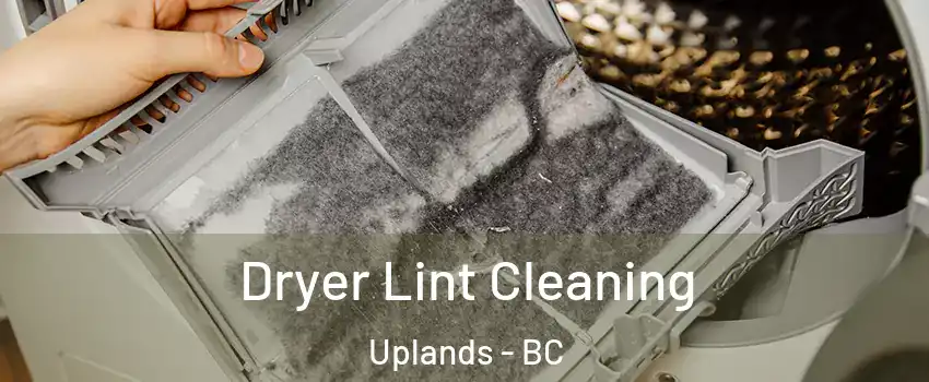  Dryer Lint Cleaning Uplands - BC