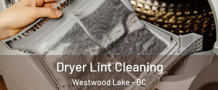 Dryer Lint Cleaning Westwood Lake - BC
