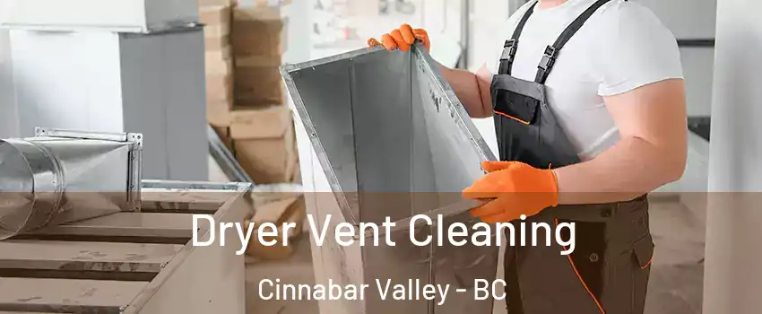  Dryer Vent Cleaning Cinnabar Valley - BC