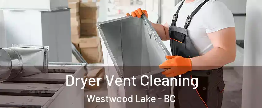  Dryer Vent Cleaning Westwood Lake - BC