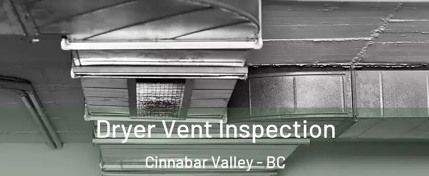  Dryer Vent Inspection Cinnabar Valley - BC