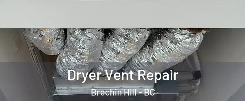  Dryer Vent Repair Brechin Hill - BC