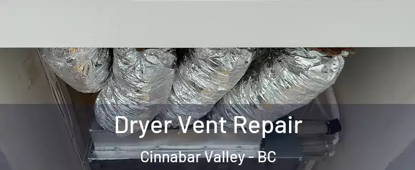  Dryer Vent Repair Cinnabar Valley - BC