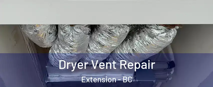  Dryer Vent Repair Extension - BC