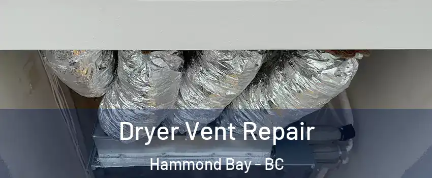  Dryer Vent Repair Hammond Bay - BC