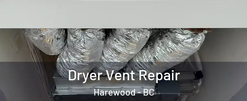  Dryer Vent Repair Harewood - BC