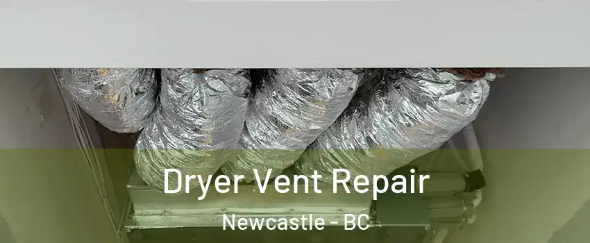  Dryer Vent Repair Newcastle - BC