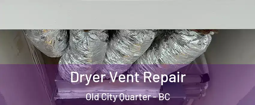  Dryer Vent Repair Old City Quarter - BC