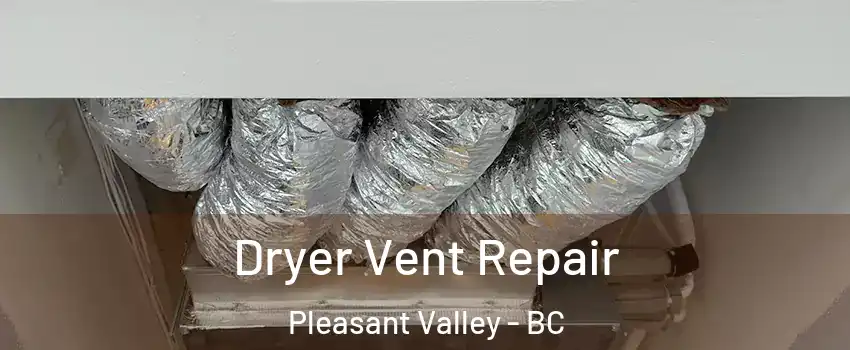  Dryer Vent Repair Pleasant Valley - BC