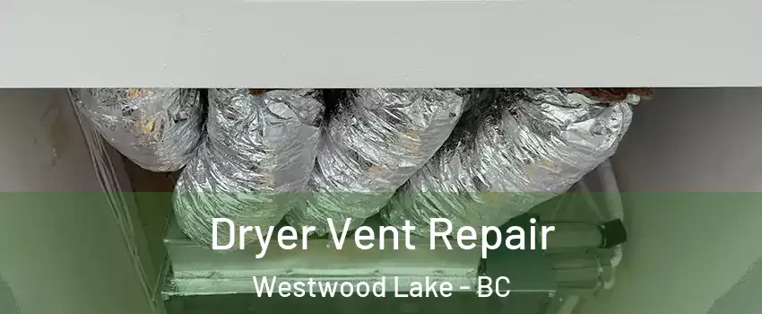  Dryer Vent Repair Westwood Lake - BC