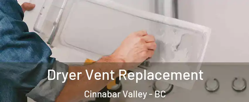  Dryer Vent Replacement Cinnabar Valley - BC