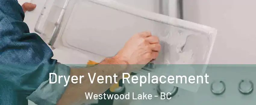  Dryer Vent Replacement Westwood Lake - BC