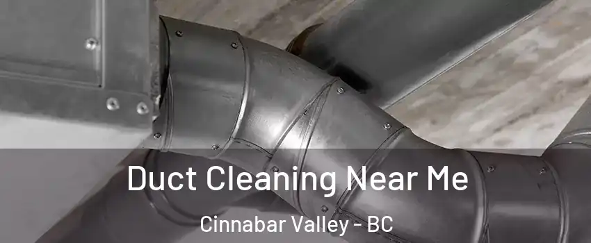  Duct Cleaning Near Me Cinnabar Valley - BC