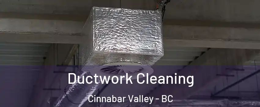  Ductwork Cleaning Cinnabar Valley - BC