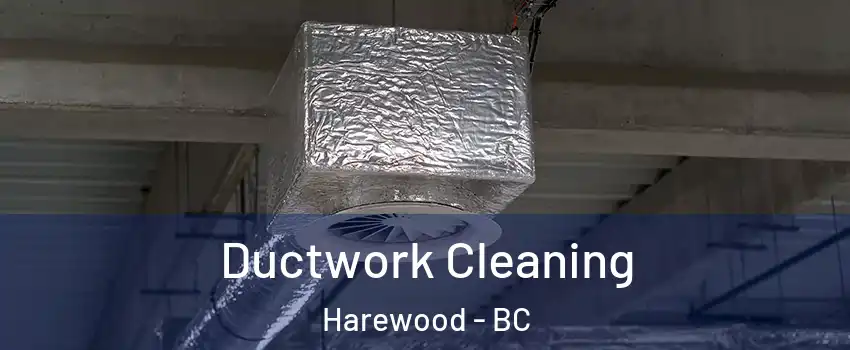  Ductwork Cleaning Harewood - BC