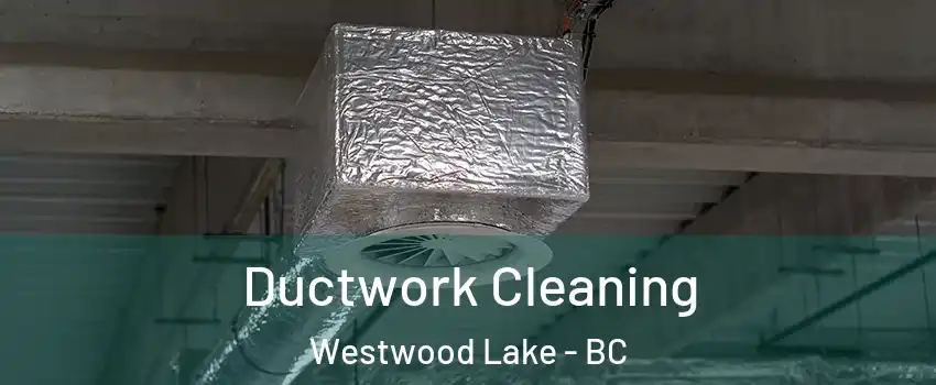  Ductwork Cleaning Westwood Lake - BC