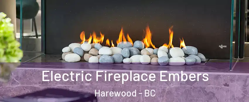 Electric Fireplace Embers Harewood - BC
