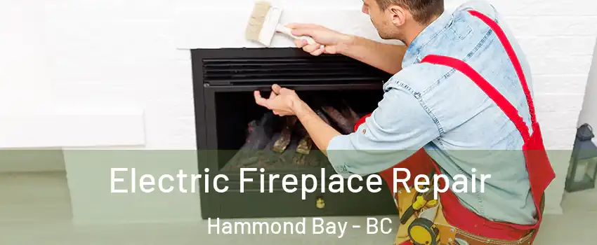  Electric Fireplace Repair Hammond Bay - BC