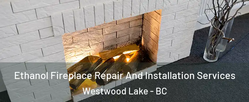  Ethanol Fireplace Repair And Installation Services Westwood Lake - BC