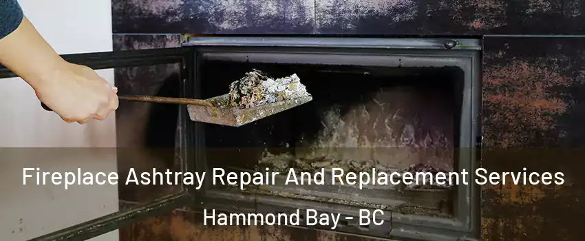  Fireplace Ashtray Repair And Replacement Services Hammond Bay - BC