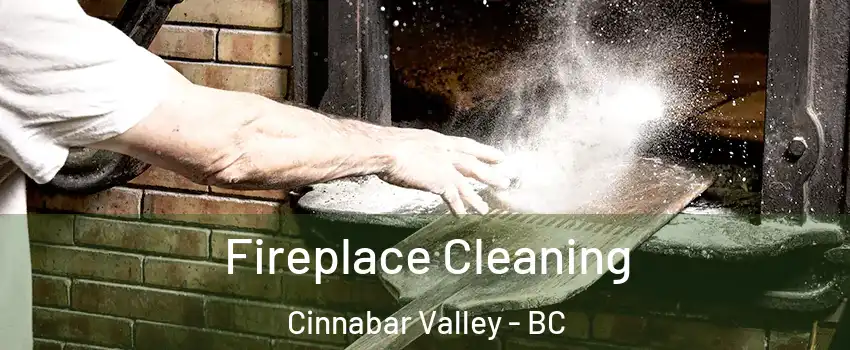  Fireplace Cleaning Cinnabar Valley - BC