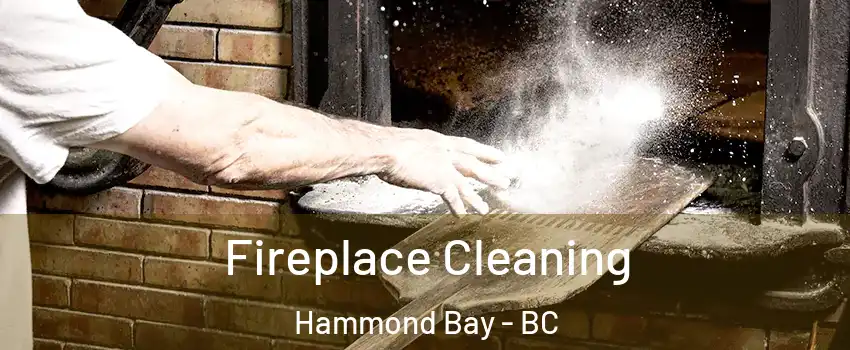  Fireplace Cleaning Hammond Bay - BC