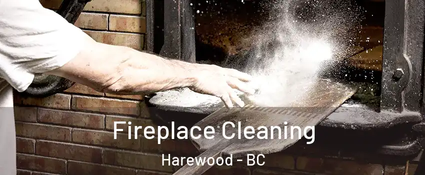  Fireplace Cleaning Harewood - BC