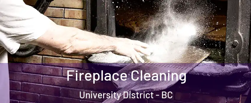  Fireplace Cleaning University District - BC