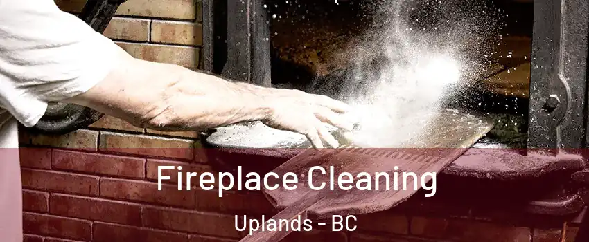  Fireplace Cleaning Uplands - BC
