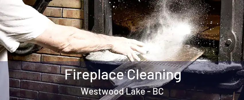 Fireplace Cleaning Westwood Lake - BC