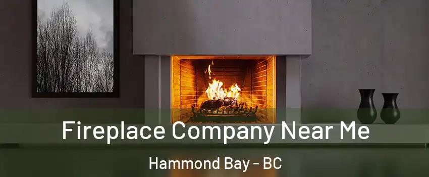 Fireplace Company Near Me Hammond Bay - BC