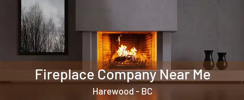  Fireplace Company Near Me Harewood - BC