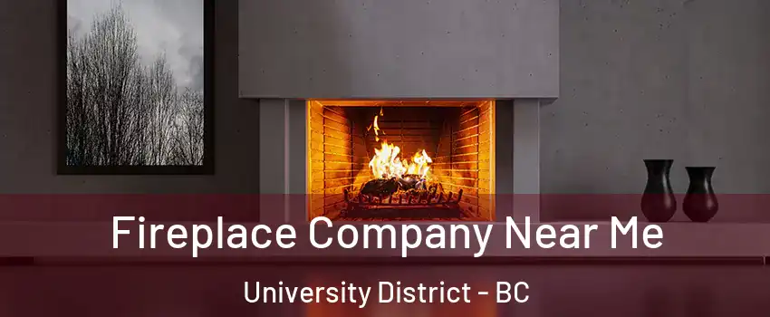Fireplace Company Near Me University District - BC