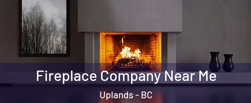  Fireplace Company Near Me Uplands - BC