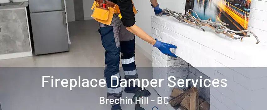 Fireplace Damper Services Brechin Hill - BC