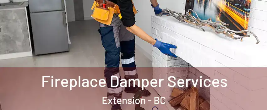 Fireplace Damper Services Extension - BC