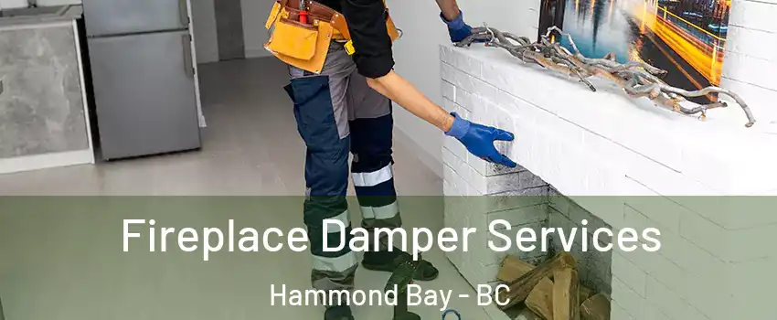 Fireplace Damper Services Hammond Bay - BC