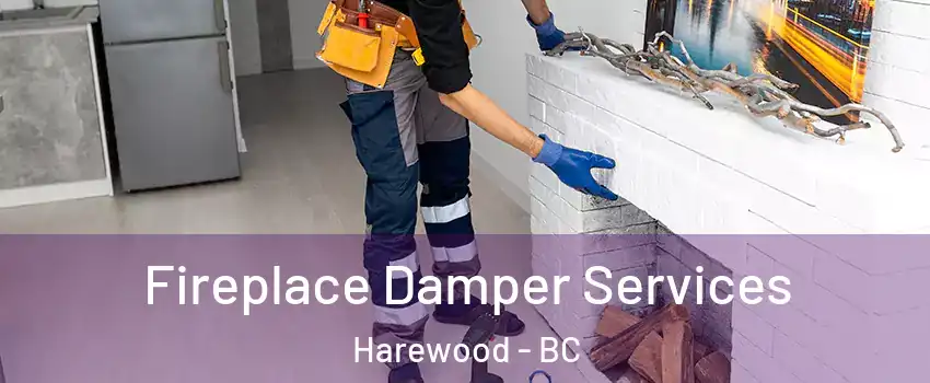 Fireplace Damper Services Harewood - BC