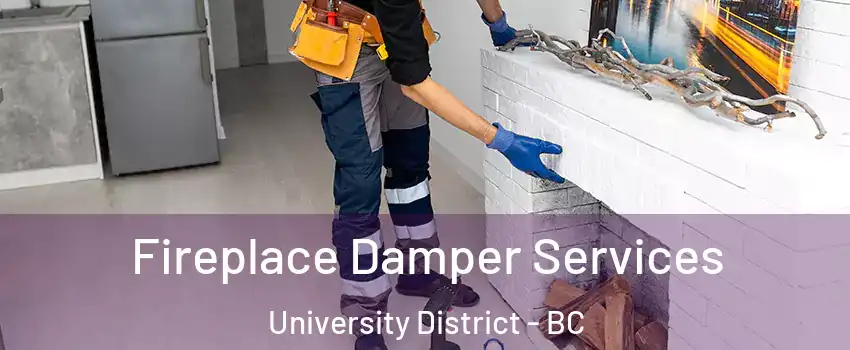 Fireplace Damper Services University District - BC