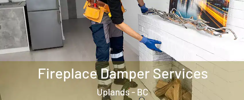 Fireplace Damper Services Uplands - BC