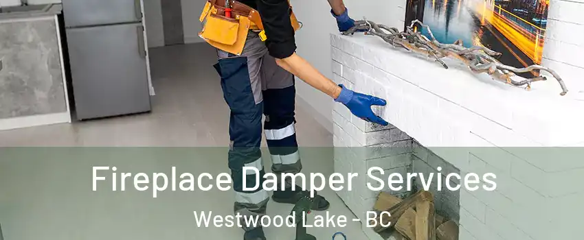 Fireplace Damper Services Westwood Lake - BC