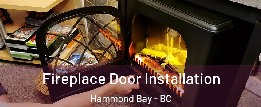  Fireplace Door Installation Hammond Bay - BC