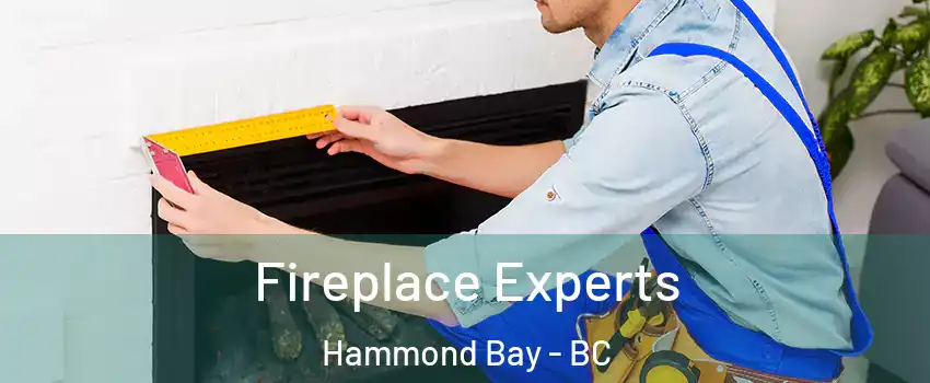  Fireplace Experts Hammond Bay - BC