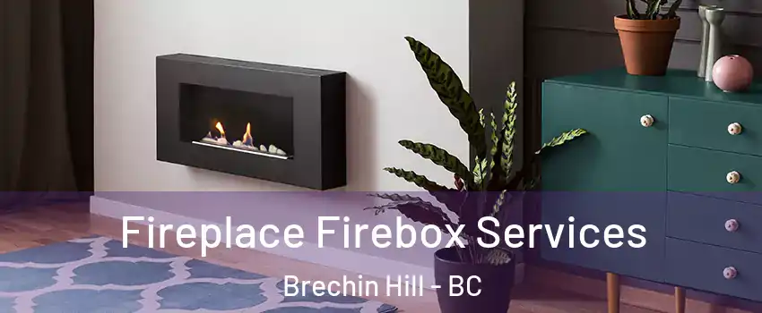  Fireplace Firebox Services Brechin Hill - BC