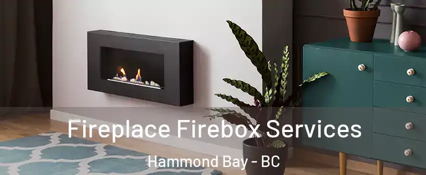  Fireplace Firebox Services Hammond Bay - BC