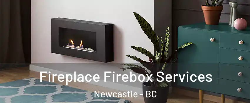  Fireplace Firebox Services Newcastle - BC