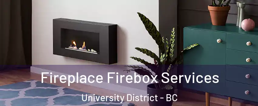  Fireplace Firebox Services University District - BC