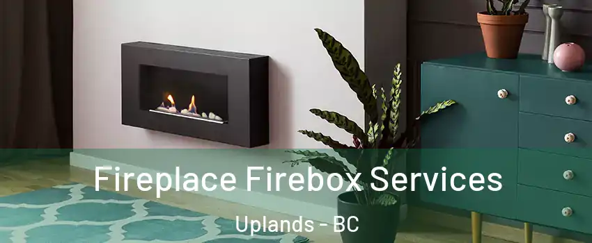  Fireplace Firebox Services Uplands - BC